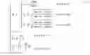 Fig. 08 - Method of LED freeform surface illumination system