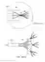 Fig. 52 - DETERMINING USER ACCOMMODATION TO DISPLAY AN IMAGE AT A FOCAL PLANE CORRESPONDING TO A USER'S CURRENT STATE OF FOCUS