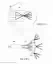 Fig. 52 - USING AN ARRAY OF SPATIAL LIGHT MODULATORS TO GENERATE A LIGHTFIELD