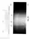 Fig. 09 - Backlight module and display apparatus
