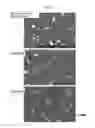 Fig. 09 - RARE-EARTH SINTERED MAGNET AND METHOD FOR MANUFACTURING SAME