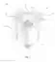 Fig. 02 - Compact triangular core transformer