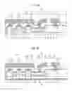 Fig. 10 - Semiconductor device with counter doped layer