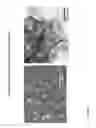 Fig. 12 - Layered and spinel lithium titanates and processes for preparing the same