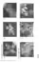 Fig. 23 - Layered and spinel lithium titanates and processes for preparing the same