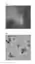 Fig. 02 - Method for preparing lithium iron phosphate nanopowder coated with carbon