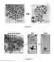 Fig. 16 - Nanoframes with three-dimensional electrocatalytic surfaces