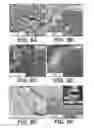 Fig. 09 - Metal sulfide composite materials for batteries