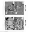 Fig. 33 - Metal sulfide composite materials for batteries