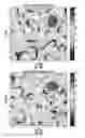 Fig. 09 - Adaptive interference suppression via subband power measurements of a phased-array antenna
