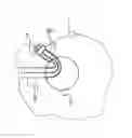 Fig. 01 - Laminated glazing unit