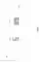 Fig. 02 - Direct conversion receiver circuit for concurrent reception of multiple carriers