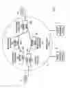 Fig. 02 - Timestamping packets in a network