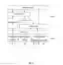 Fig. 06 - Data storage device with embedded software