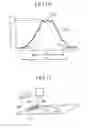 Fig. 07 - Printed matter identifying device and printed matter identifying system