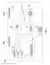 Fig. 05 - Video conference window activator