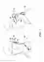 Fig. 02 - Adjustable earpiece device