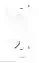 Fig. 02 - Earphone