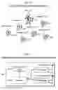 Fig. 03 - System for Maintaining the Integrity of a Tour Group