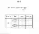 Fig. 09 - Mobile communication terminal, communication method, and communication system