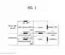 Fig. 02 - Method and apparatus for communication in a wireless LAN system