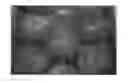 Fig. 01 - NECTARINE TREE NAMED '0322E82NB'