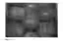 Fig. 02 - NECTARINE TREE NAMED '0322E82NB'