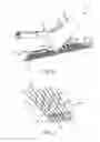 Fig. 07 - Devices for removing vegetation from ground surfaces