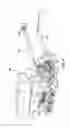 Fig. 07 - Transfer Conveyor and Farm Implement For Transporting Same