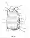 Fig. 06 - Vest with quick release