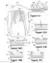 Fig. 09 - Wetsuits with hydrodynamic interlocking and kinesiologic features