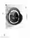 Fig. 22 - Helmet padding system
