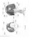 Fig. 33 - Helmet padding system