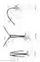 Fig. 22 - Umbrella-like Device Using Flexible Ribs
