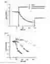 Fig. 02 - Method and apparatus for the detection of impaired dark adaptation