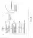 Fig. 31 - INTERNAL OBSERVATION DEVICE FOR OBJECT HAVING LIGHT SCATTERING PROPERTIES, INTERNAL BODY OBSERVATION DEVICE, ENDOSCOPE FOR INTERNAL OBSERVATION AND INTERNAL OBSERVATION METHOD