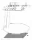 Fig. 01 - X-ray output apparatus for reduction of superfluous radiation exposure