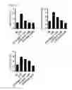 Fig. 07 - COMPOSITION USING METFORMIN FOR PREVENTING OR TREATING IMMUNE DISEASES INCLUDING LUPUS