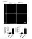 Fig. 09 - COMPOSITION USING METFORMIN FOR PREVENTING OR TREATING IMMUNE DISEASES INCLUDING LUPUS