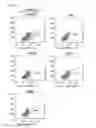 Fig. 11 - COMPOSITION USING METFORMIN FOR PREVENTING OR TREATING IMMUNE DISEASES INCLUDING LUPUS