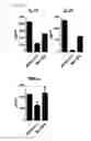 Fig. 17 - COMPOSITION USING METFORMIN FOR PREVENTING OR TREATING IMMUNE DISEASES INCLUDING LUPUS
