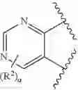 Fig. 366 - OXIME-SUBSTITUTED QUINOXALINE-TYPE PIPERIDINE COMPOUNDS AS ORL-1 MODULATORS