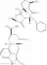 Fig. 02 - NOVEL ERGOLINE DERIVATIVES AND USES THEREOF