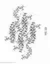 Fig. 22 - Solid forms comprising N-(5-tert-butyl-isoxazol-3-yl)-N′-{4-[7-(2-morpholin-4-yl-ethoxy)imidazo[2,1-b][1,3]benzothiazol-2-yl]phenyl}urea, compositions thereof, and uses therewith