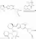 Fig. 206 - Compounds and methods for antiviral treatment