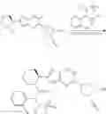 Fig. 207 - Compounds and methods for antiviral treatment