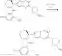 Fig. 220 - Compounds and methods for antiviral treatment