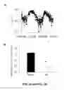 Fig. 03 - Methods and compositions for the treatment of ischemic injury to tissue using therapeutic hypothermia