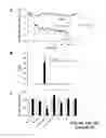 Fig. 05 - Methods and compositions for the treatment of ischemic injury to tissue using therapeutic hypothermia