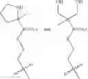 Fig. 102 - Polynucleotides having bioreversible groups